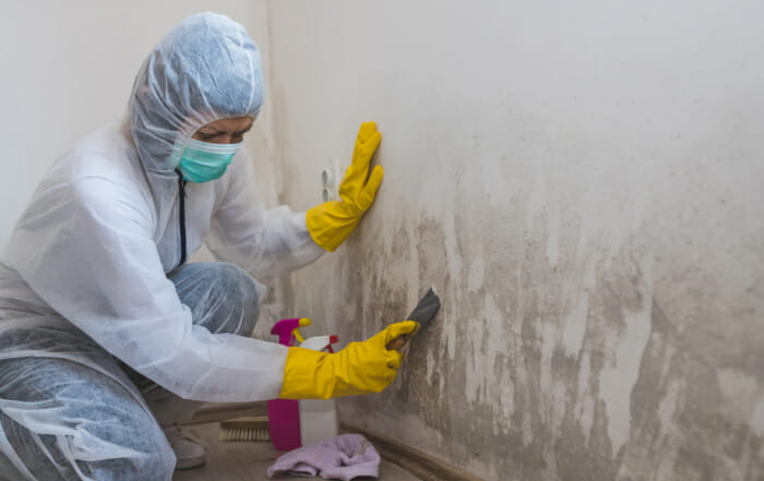 damage restoration specialist removing mold from walls