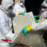 asbestos removal services in Utah and Wyoming