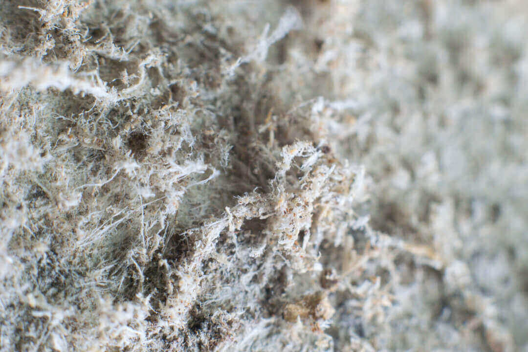 close up of hazardous asbestos fibers