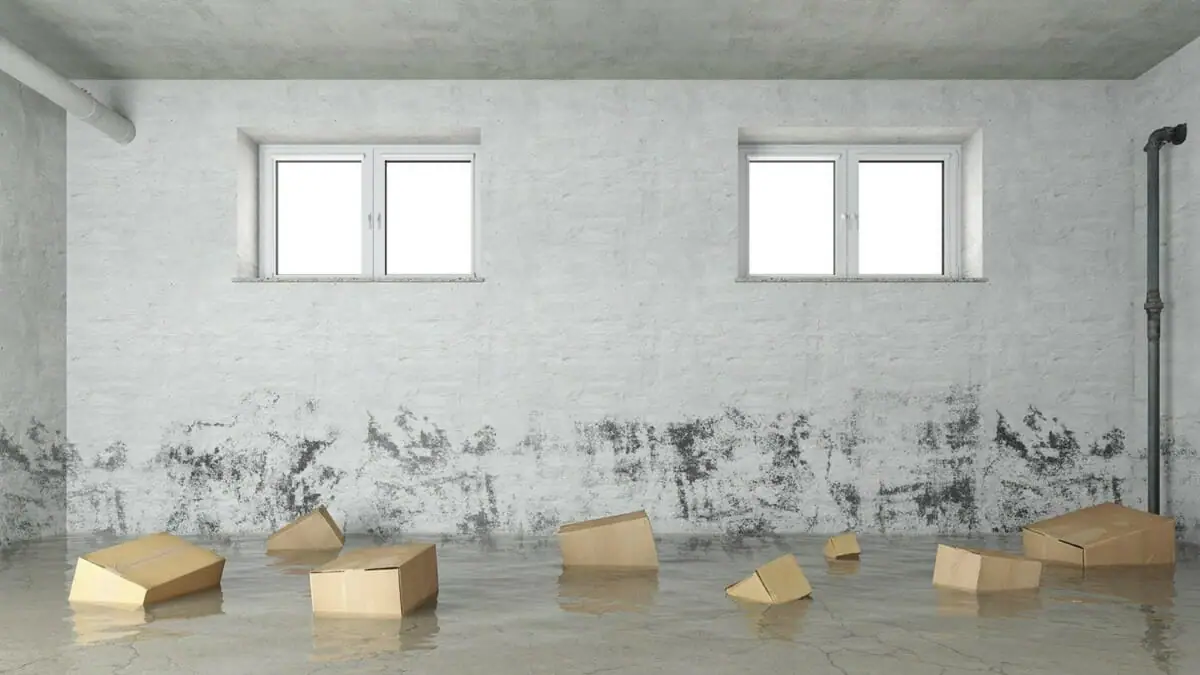 basement-flooding-2-1200x675.jpg