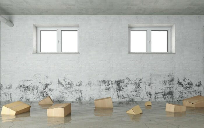 Utah Basement Flood Repair - Water Damage Restoration - Bull Matrix