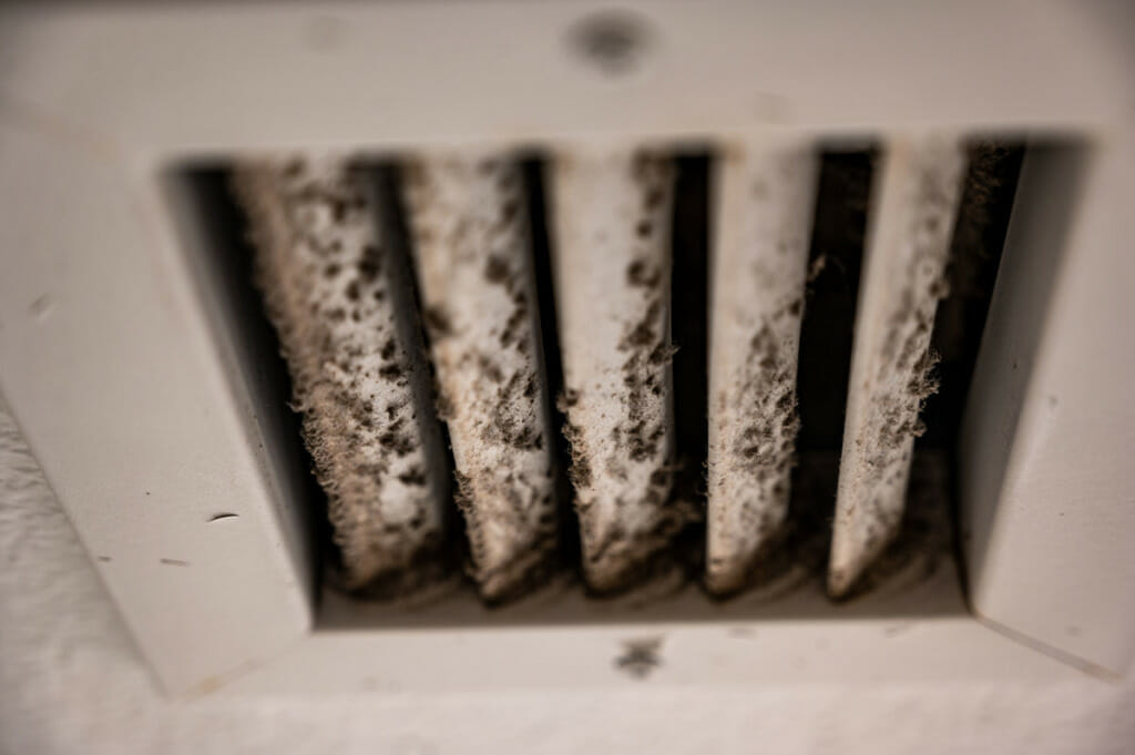 hvac-mold