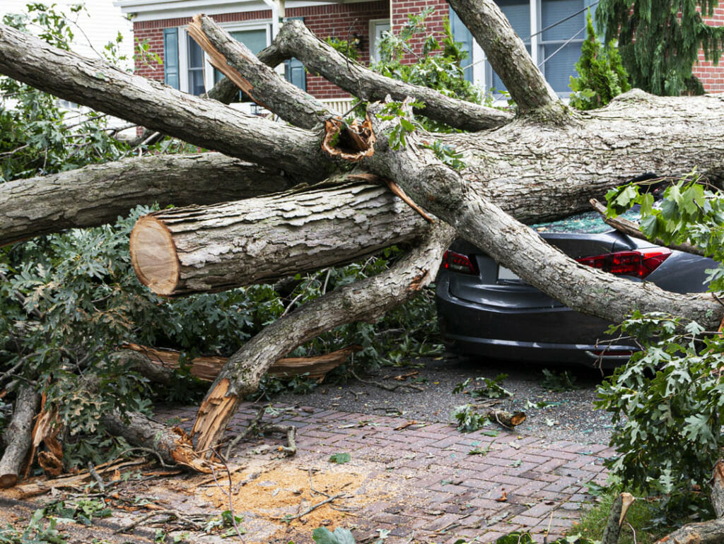 wind-damage wind-damage