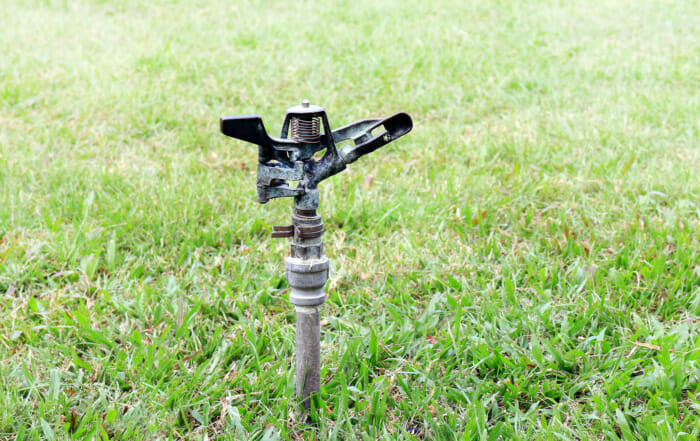 Broken Sprinkler Pipe Water Damage Remediation