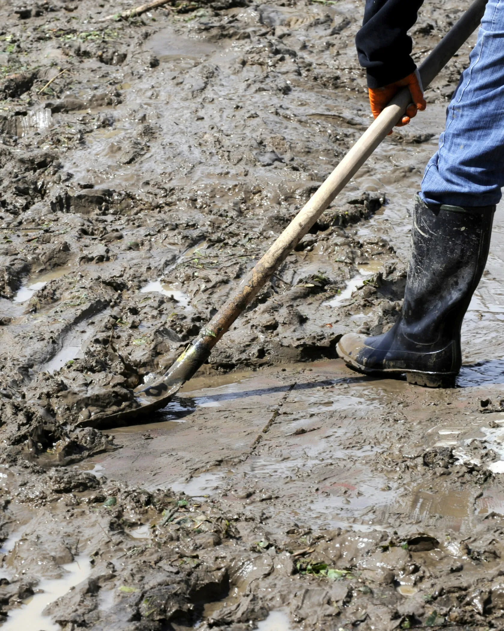 flash-flood-cleanup-scaled