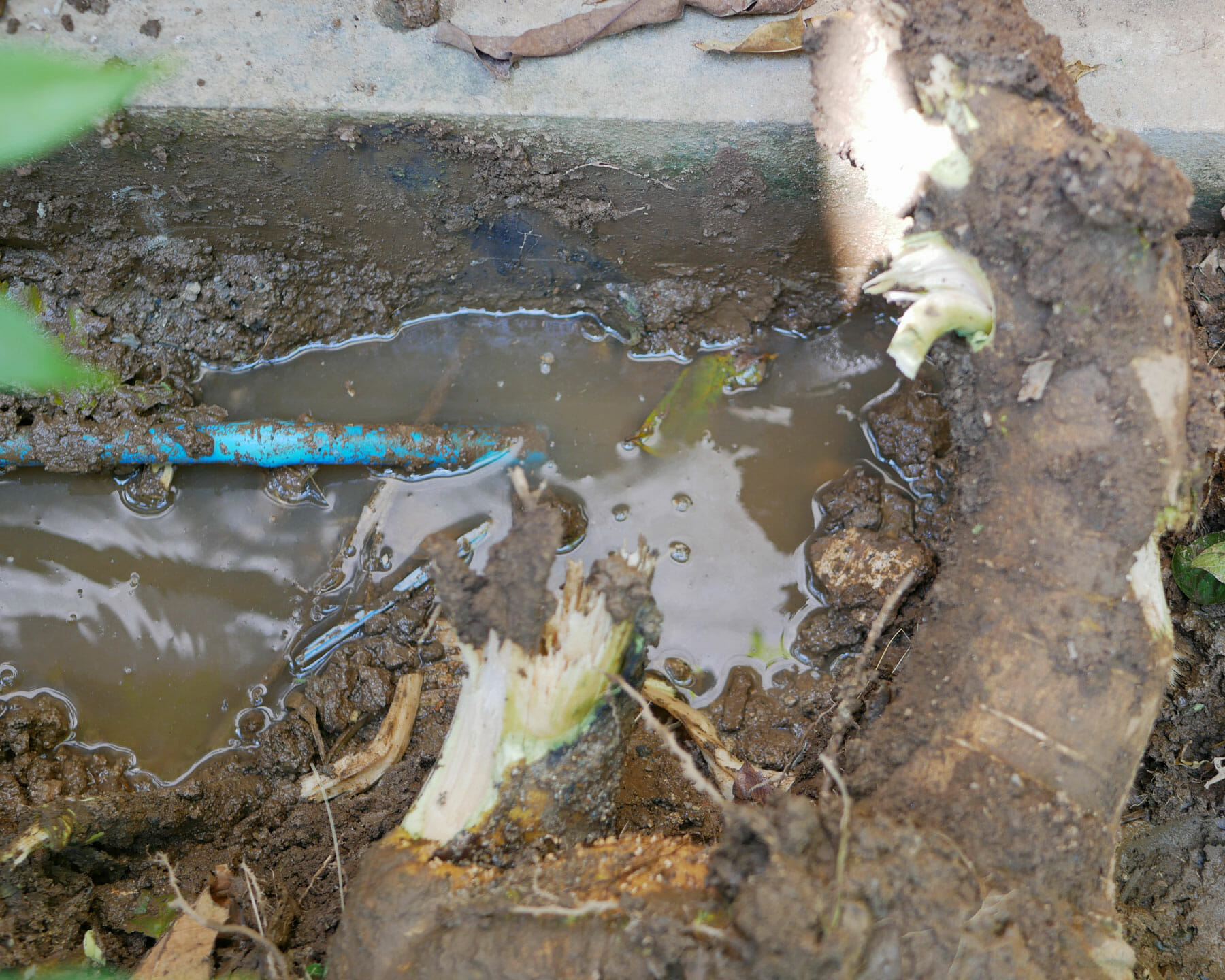 A Burst Sprinkler Pipe Can Mean Serious Water Damage What To Do?