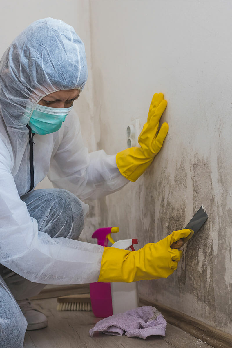 How to Find and Safely Eradicate Mold?