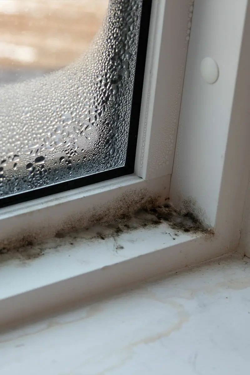 mold-location