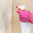 What Kills Mold Permanently? Our Expert Advice