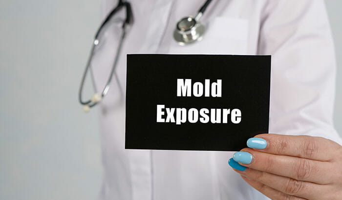Health Problems That Come From Mold