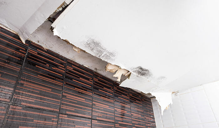 10 Things You Can Do About Water Damage