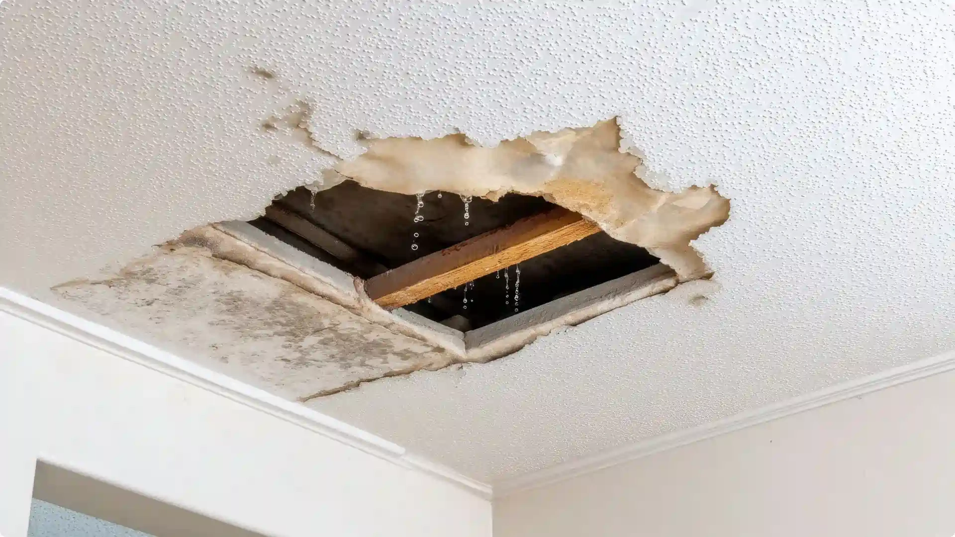 Roof Leaks and Storm Damage utah county