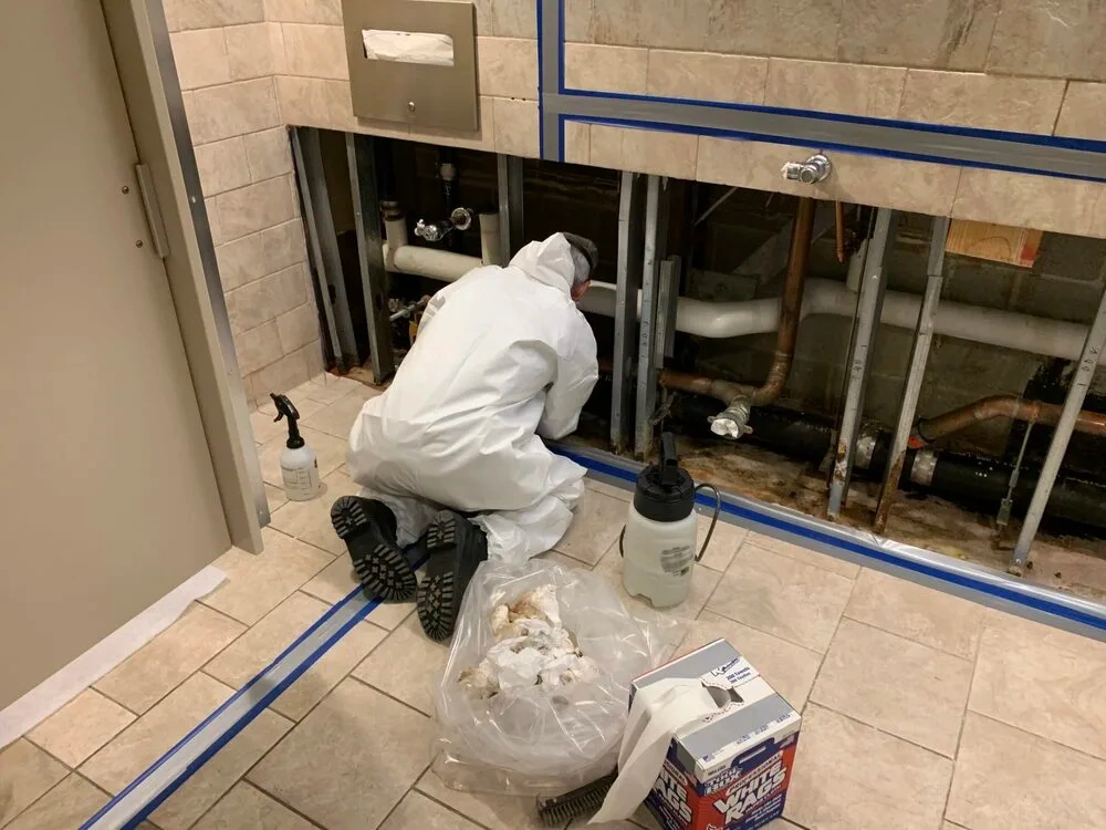 commercial mold remediation herriman ut