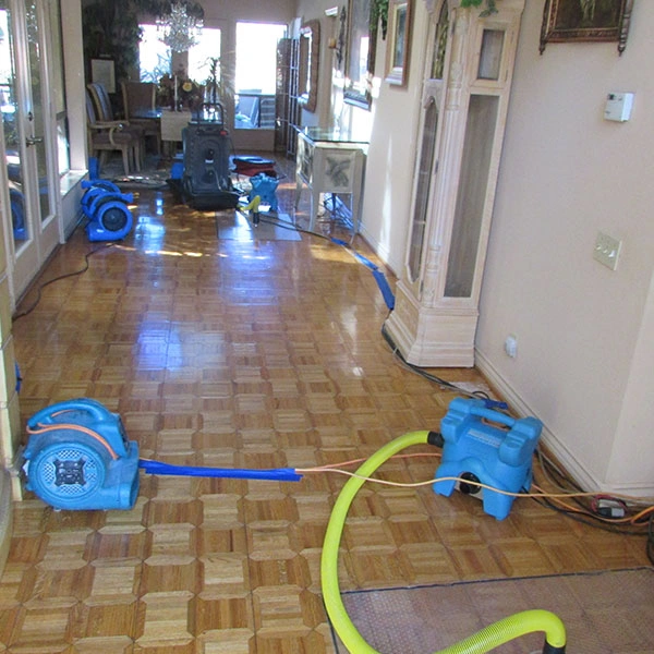 commercial water damage in provo
