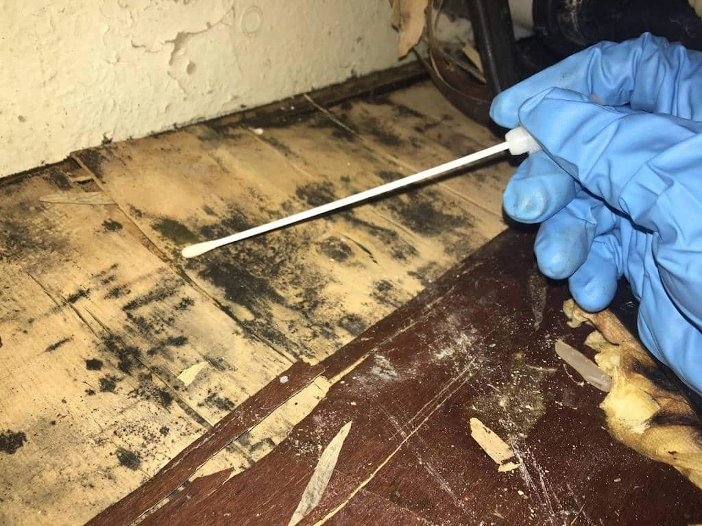 herriman ut mold testing