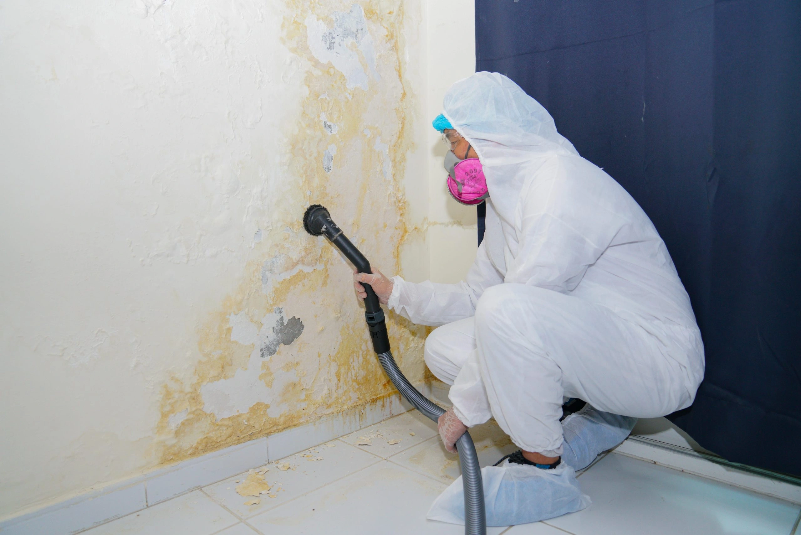 mold damage restoration herriman