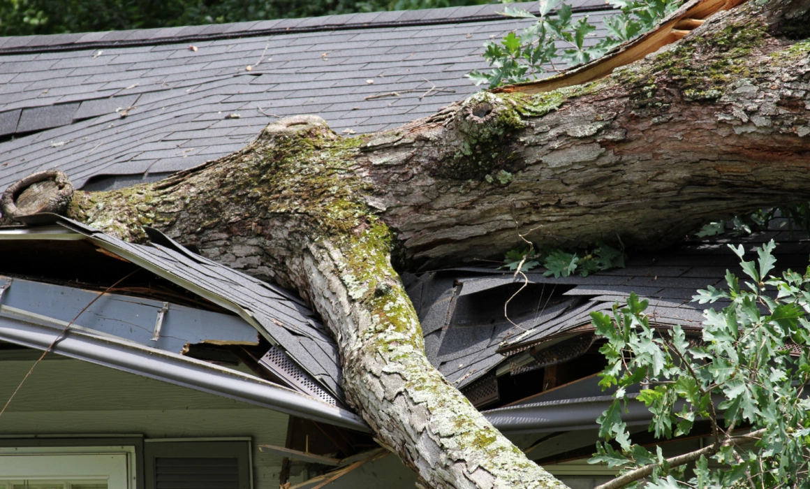wind damage cleanup provo ut