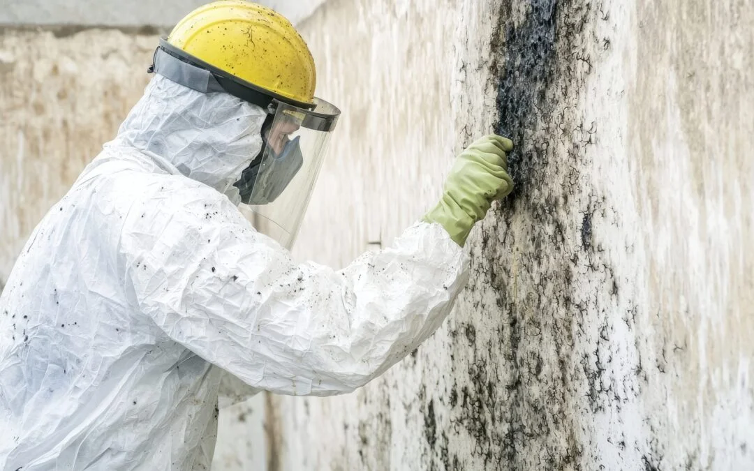 amazing-commercial-mold-remediation-herriman